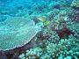 07Moorea - 17
